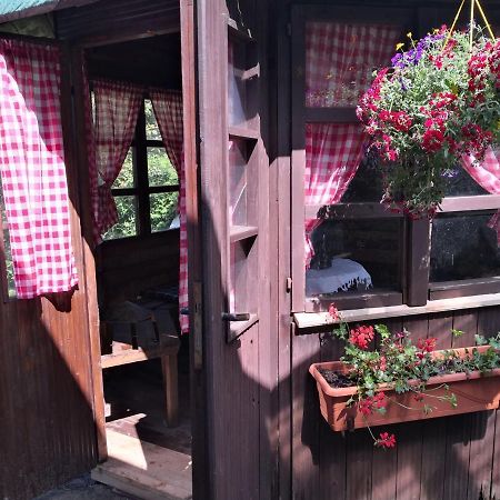 Charmante Ferienwohnung 3 Zimmer Kueche Bad Zentrale Lage Hagen im Bremischen Dış mekan fotoğraf